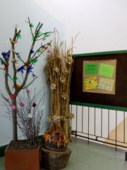IMG_20181031_102956.jpg
